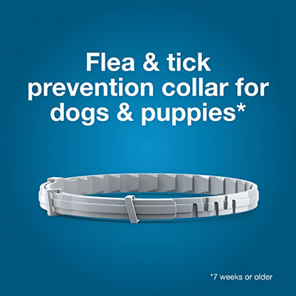 Elanco Seresto Flea and Tick Collar for Dogs